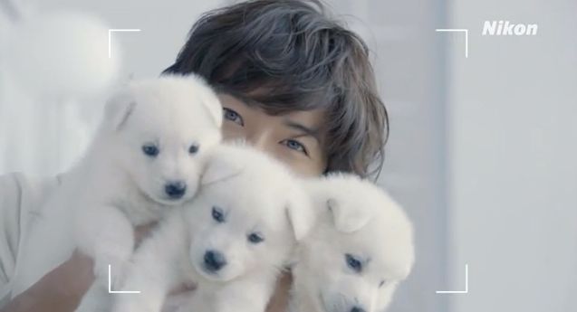 キムタク 愛犬 種類