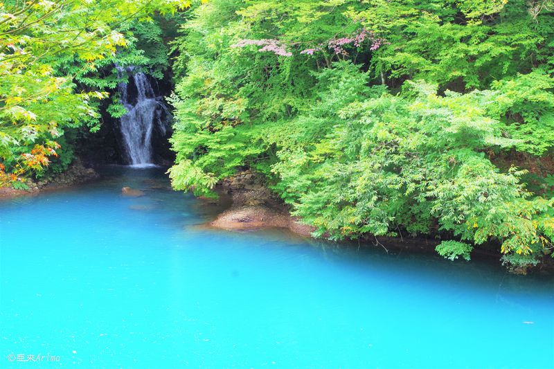 おく しま こ 群馬 カヌー