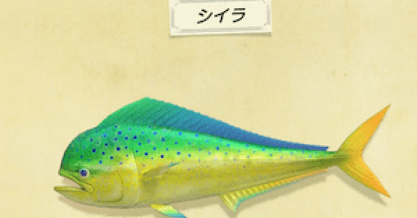 あつ森マンボウ釣れる場所