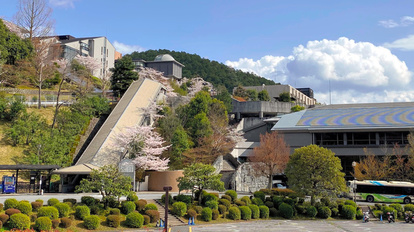 富山県 京都産業大学 袋井泉希