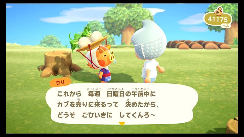 どうぶつの森株掲示板