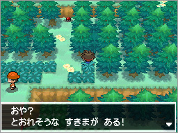 ポケモン bw カイリュー