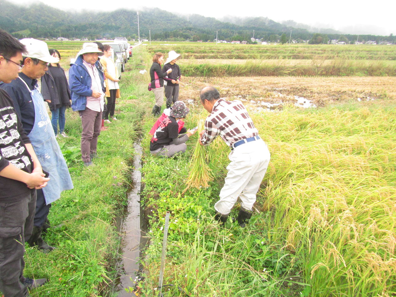 お力添えさせて