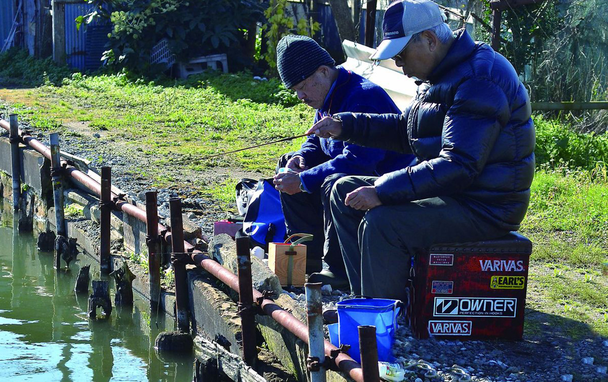 タナゴ 釣り 時期
