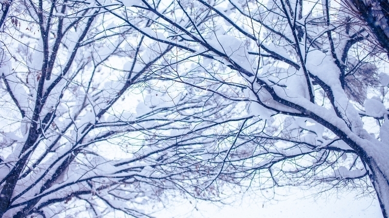 レット イット ゴー ありのまま で