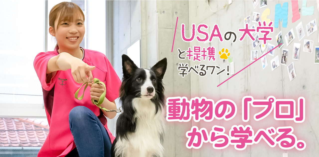 神戸 ブレーメン 動物 専門 学校