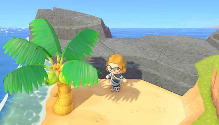 どうぶつ の 森 ヤシ の 木