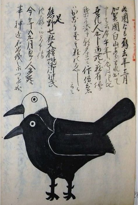 山梨コロナ女性名前顔写真