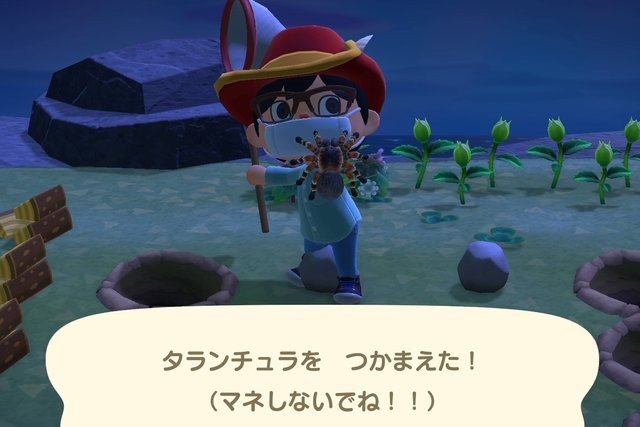 あつ森 珍しい島