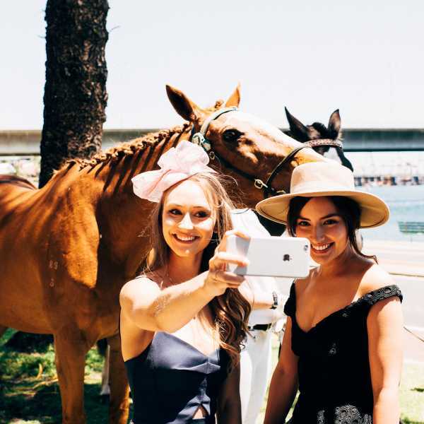 大根おろし競馬最新