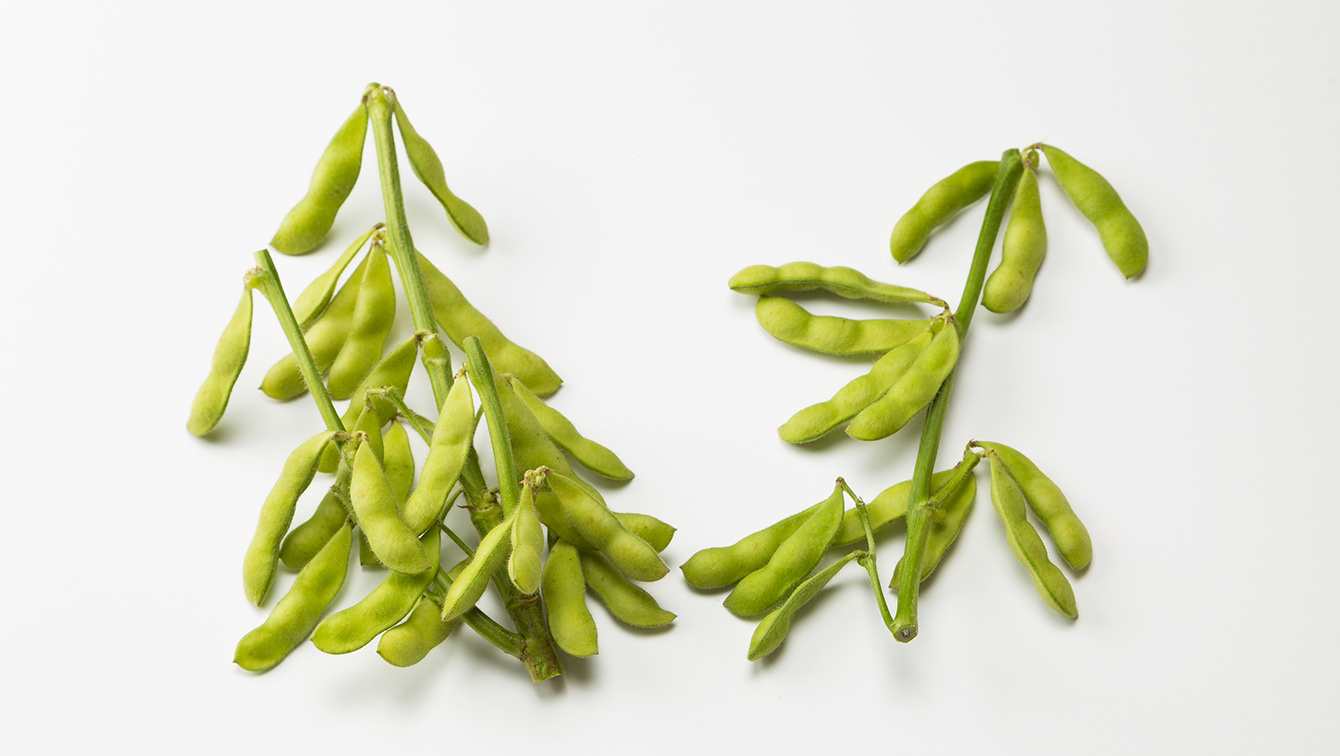 枝豆 の ゆで 時間