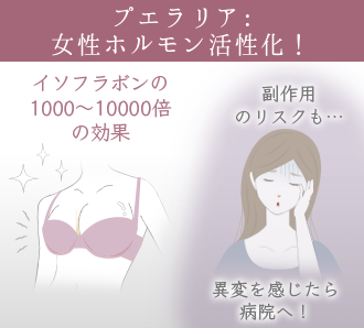 バストアップクリーム 使い方