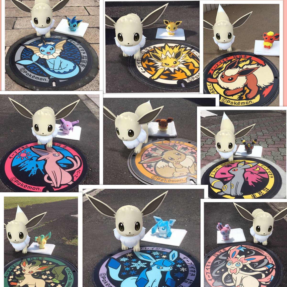 ポケモン剣盾イーブイ進化