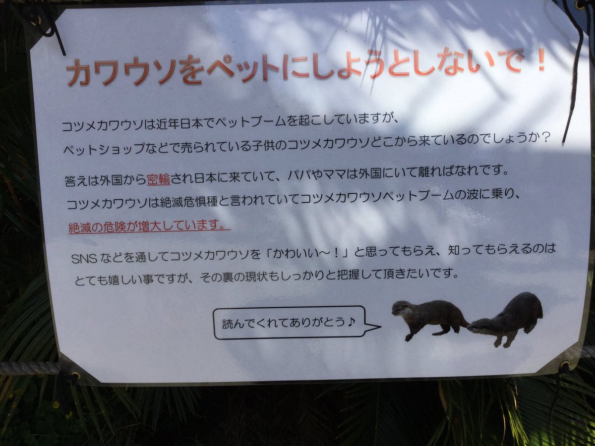 王子 動物園 ツイッター