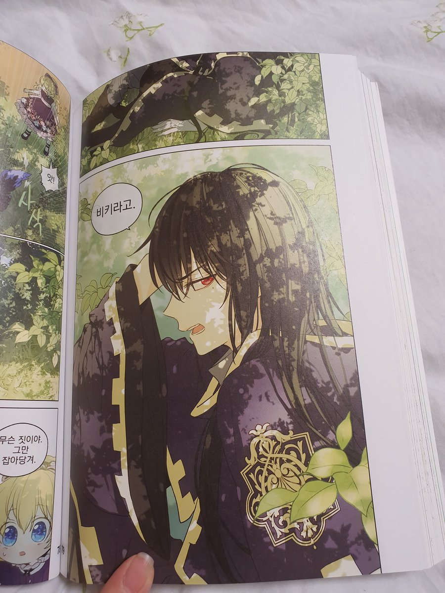 ある 日 お姫様 に なっ て しまっ た 件 について 漫画