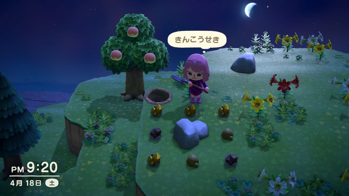 あつ森 竹 成長段階