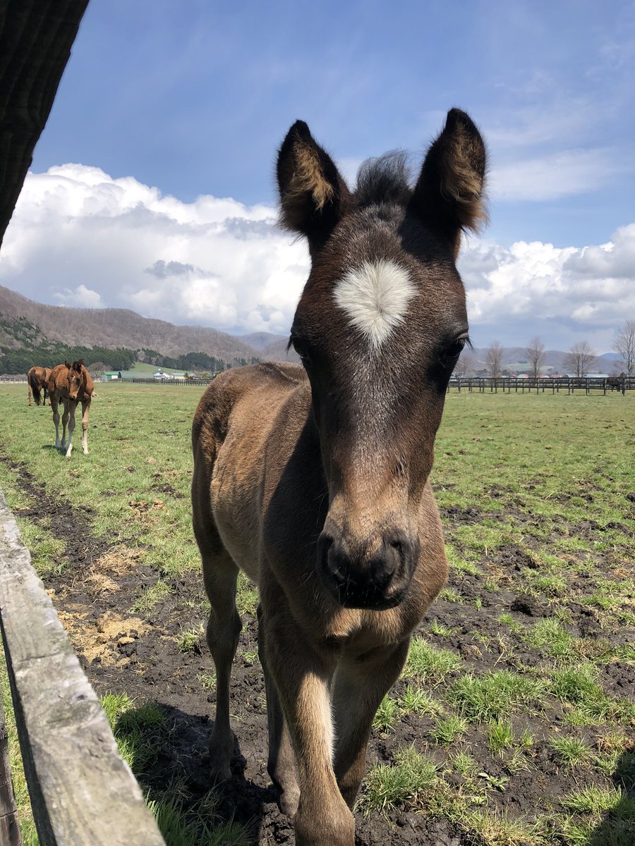 シルバー ステート