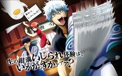 ギャグ アニメランキング