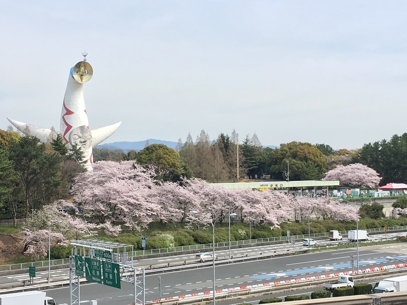万博 記念 公園 イベント