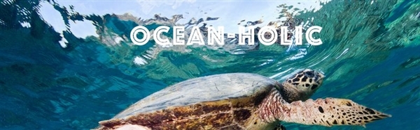 クジラ の おなか から プラスチック