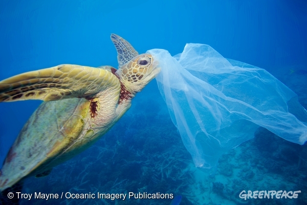 クジラ の おなか から プラスチック