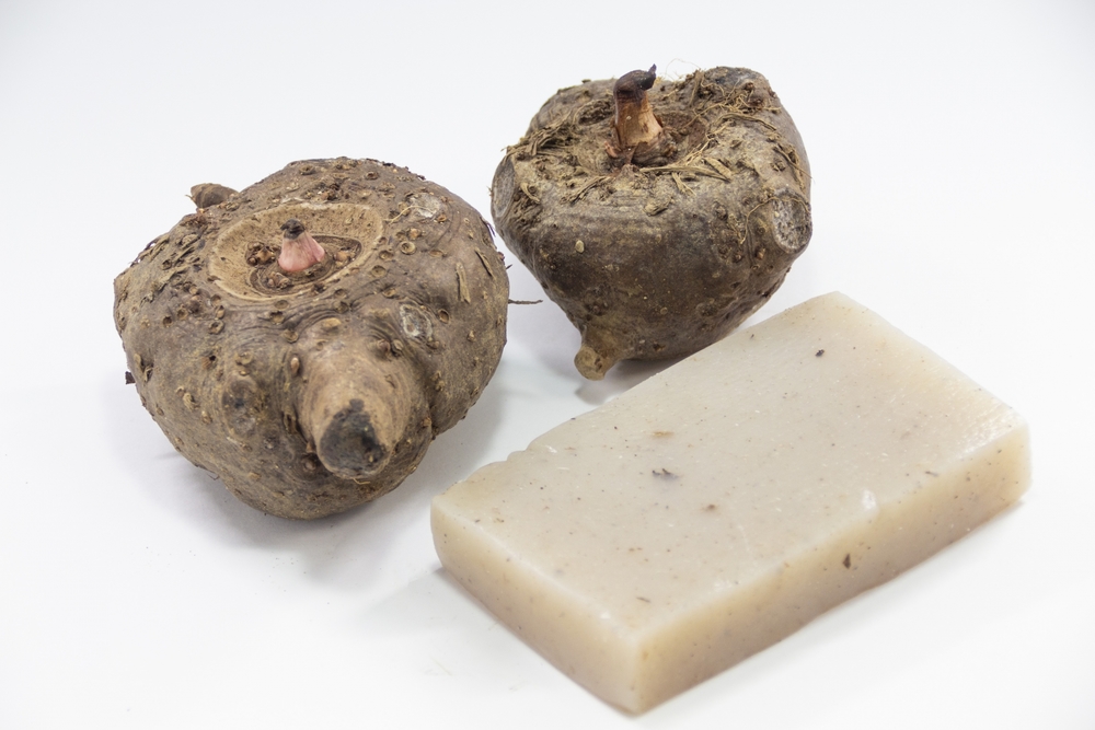 こんにゃく 開封後 賞味期限