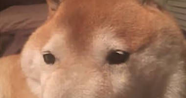 なん じ ぇ い ワールド