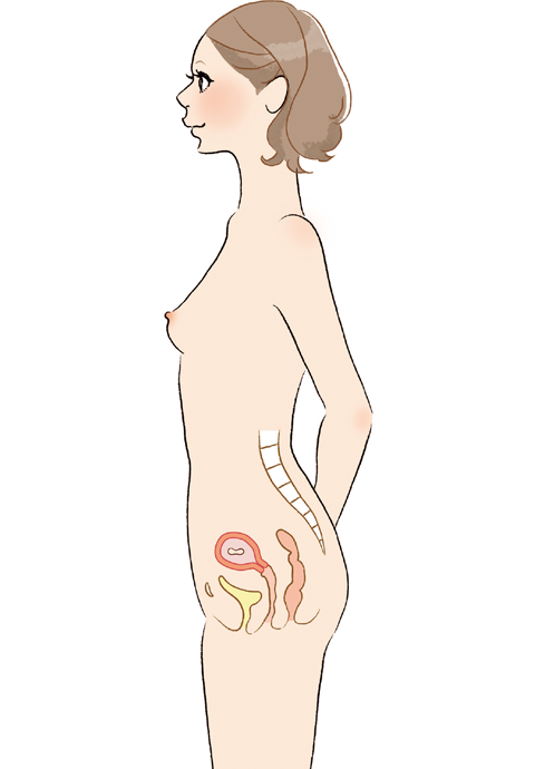 妊娠超初期 食事