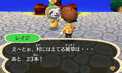 とび森 レイジ 肥料