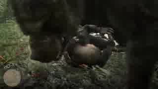 メラニズム 人間