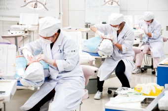 日本 歯科 大学 東京 短期 大学