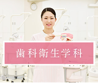 日本 歯科 大学 東京 短期 大学