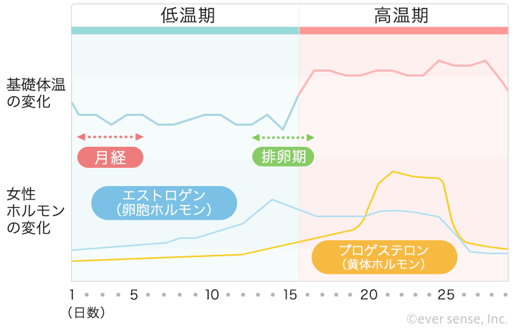 基礎 体温 低い 生理 こない