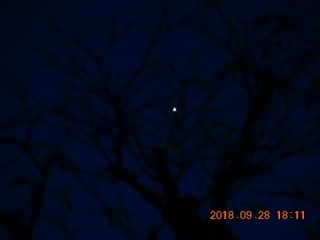 沈 むように 溶け て いく よう に