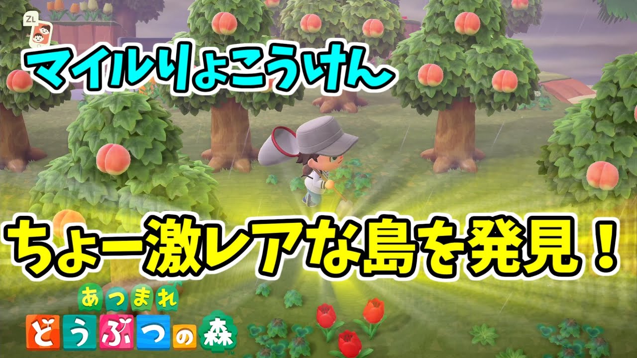 あつ森 キャンプサイト マイル旅行券