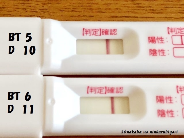 高温期12日目 陰性 妊娠の可能性