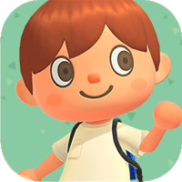 あつ 森 ポケット 整理