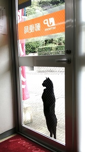 ゆう パック 集荷 依頼 電話