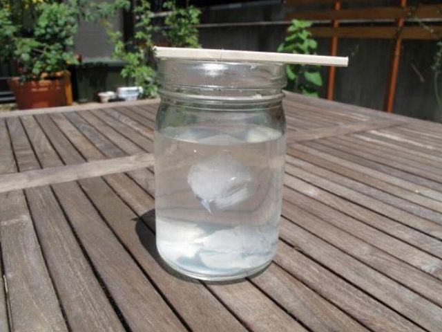 ミョウバン 結晶 作り方