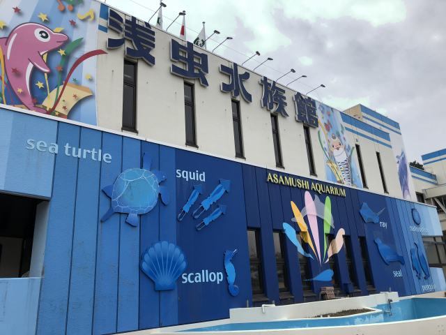 浅虫 水族館 イルカ ショー