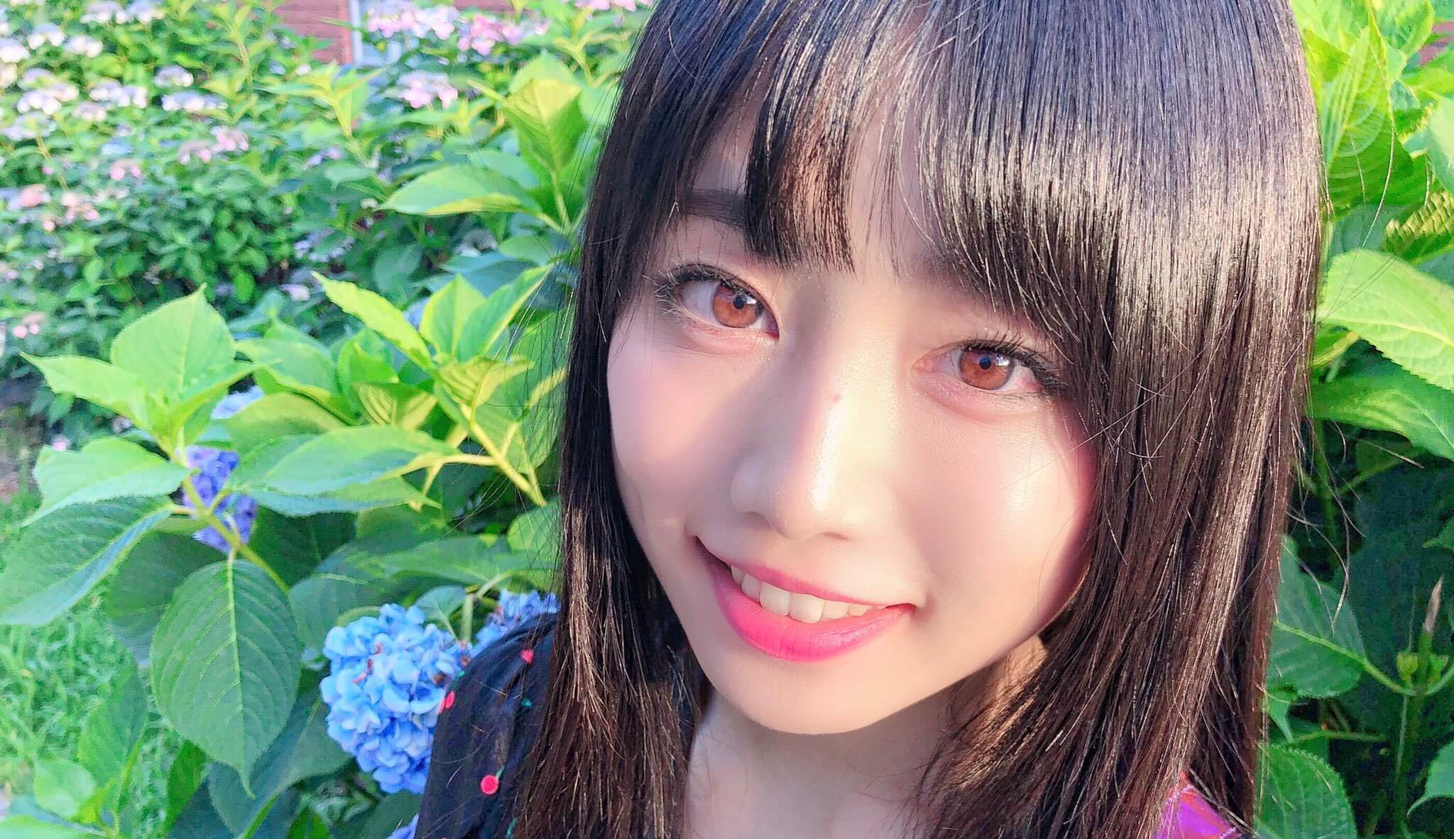 あいあい アイドル