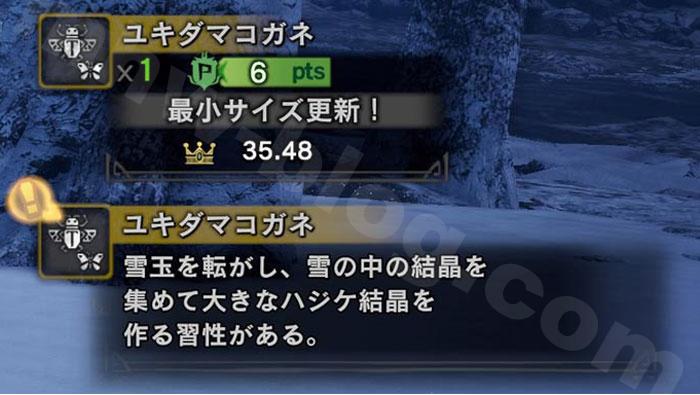 イキ サキ ゲッコー 確定