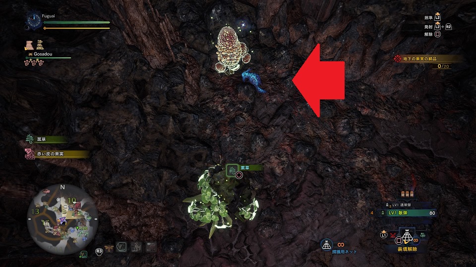 イキ サキ ゲッコー 確定