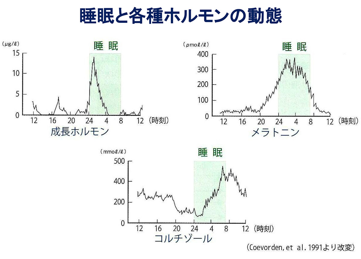 ノンレム 睡眠 と は