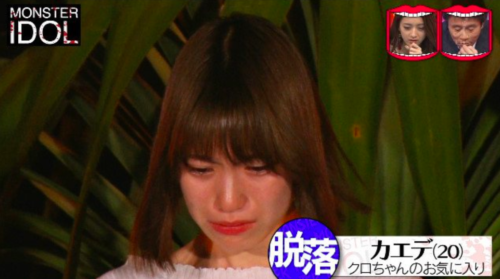 豆 柴 の 大群 カエデ