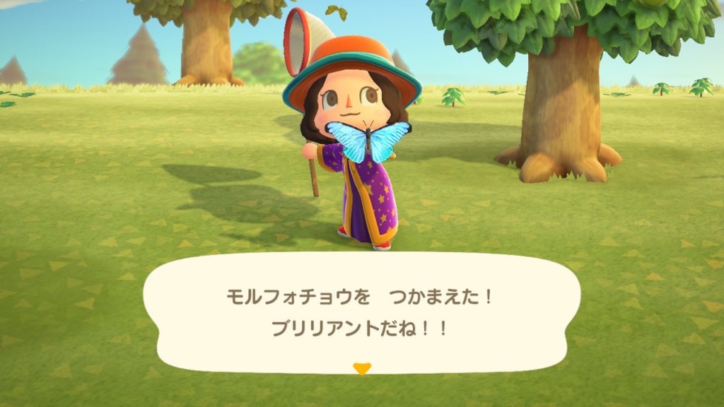 あつ森 虫 高い