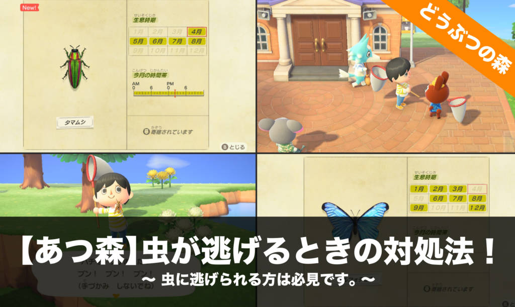 あつ森 虫 高い
