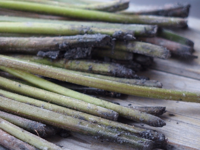 わらびあく抜き