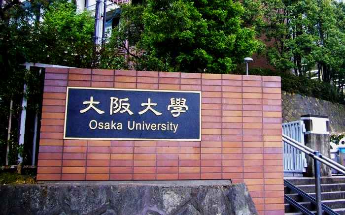 大阪 大学 外国 語学 部 偏差 値