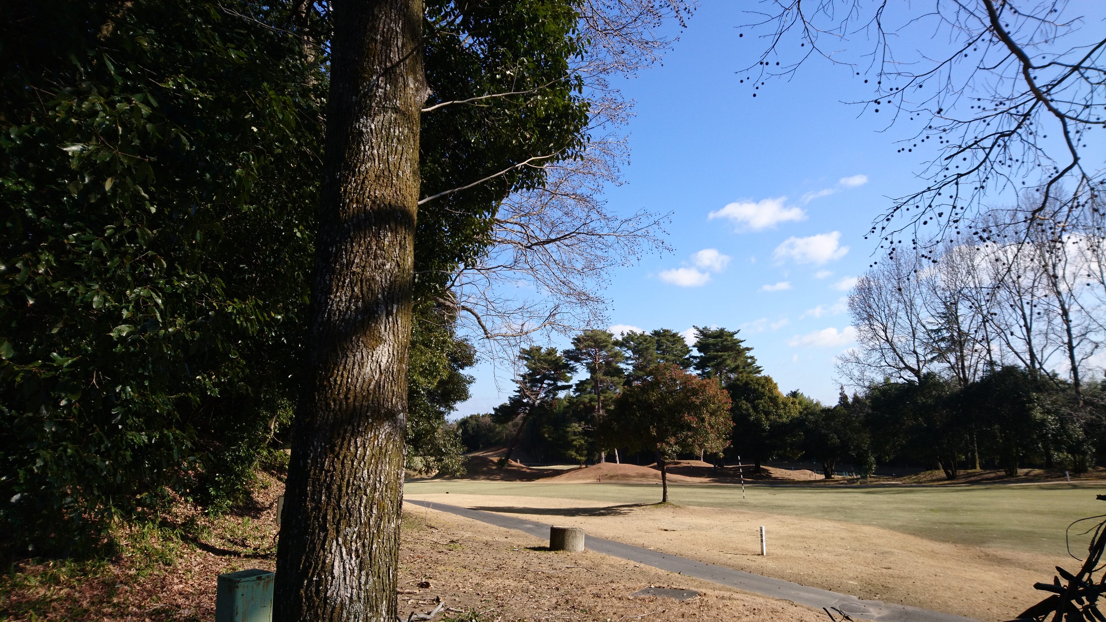 法隆寺カントリー コース